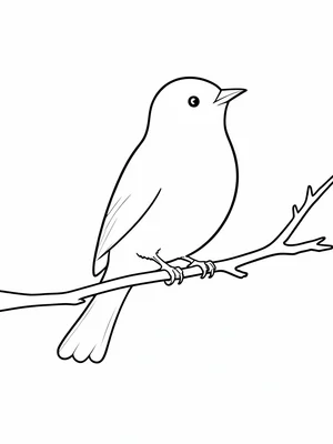 Bird on branch outline