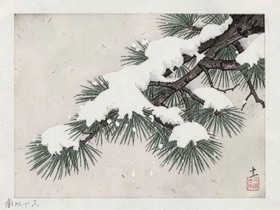 Snowy pine bough weighted down with fresh snow