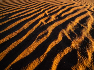 Wind ripples in fine desert sand, parallel ridges with sharp crests and gentle s