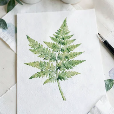 Botanical still-life of a single sprig of fern set up as a watercolor subject, s