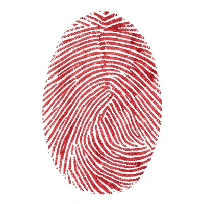 Fingerprint ridges