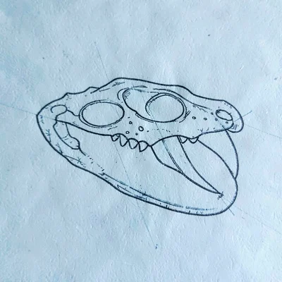 Blueprint diagram of a snake skull and fang structure, calm pale-blue paper back
