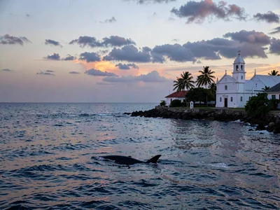 Sunday stillness in Nuku'alofa, Tonga, Calm ocean at dusk, whale season light co
