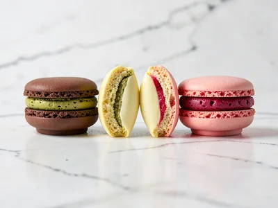 Macaron Quartet: Cross-Section Color Series
