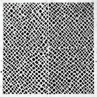 Lace fabric photocopied, intricate pattern simplified to bold black-and-white po