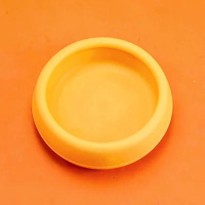 single moulded silicone collapsible silicone pet bowl top-down on a saturated ma
