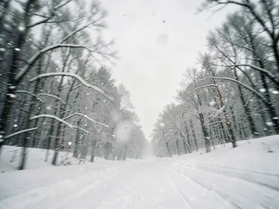 Snow fall blur creating direction