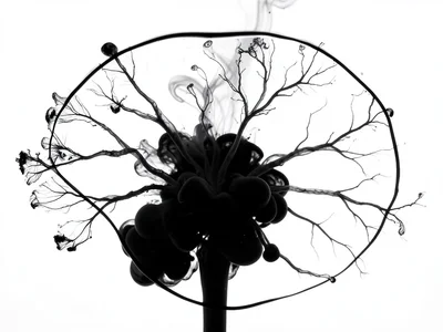 White ink dropped into black-dyed water, inverse diffusion, bright tendrils bran