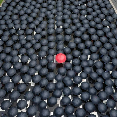 Hundreds of black umbrellas from above, compressed into a flowing river of circl