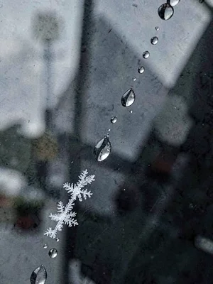 A condensation droplet trail descending diagonally across cold dark glass, the l