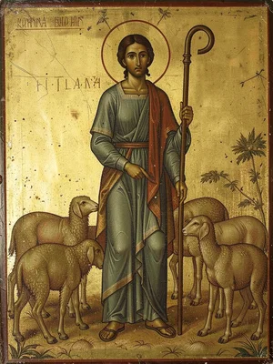 Shepherd with crook standing amid a flock, elongated formal pose