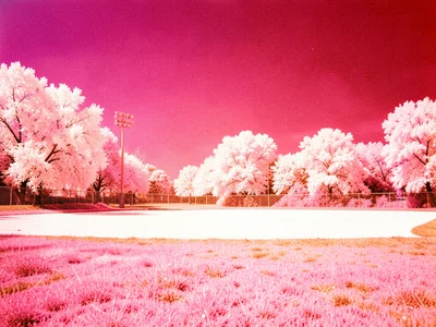 A little league baseball field with white outfield grass and a crimson sky