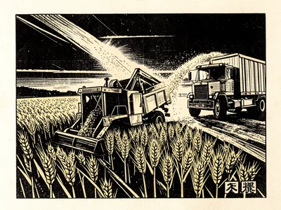 A wheat harvest scene — a combine cutting through a golden field, grain pouring 