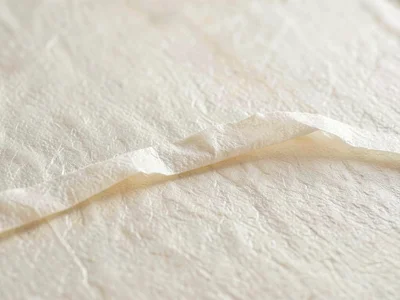 Crease deep ridge on rice paper lifting like a soft warm hill across an ivory tr