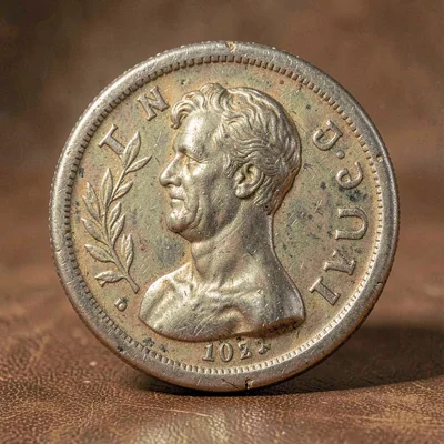 Worn-material study of a circulated trade dollar with rubbed devices and softene