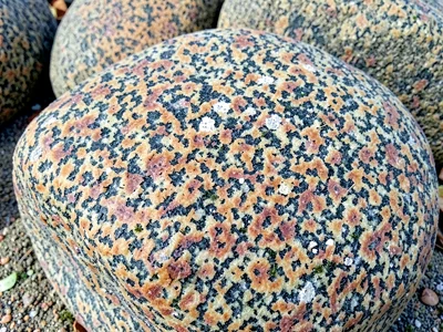 Beach granite rounded by wave action