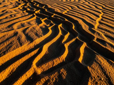 Water erosion channels in sand bank, miniature canyon system carved by rain, den