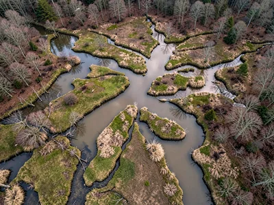 Water-filled erosion channels creating dendritic pattern from altitude