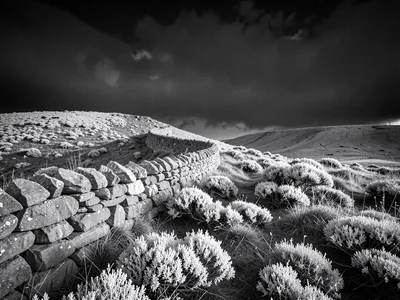 A hilltop with dry-stone wall curving away, all heather white-rendered under dra