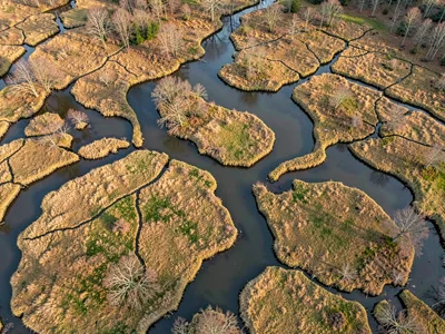 Water-filled erosion channels creating dendritic pattern from altitude
