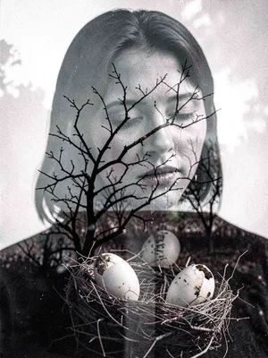 Grieving mother filled with empty nest, branches and abandoned eggs visible thro