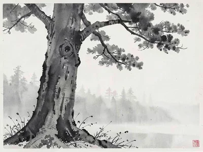 Morning mist allowing only nearest tree trunk