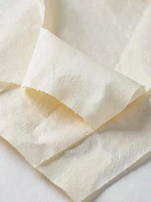 Layered-paste lift on parchment exposing warm cream underlayer beneath a curling