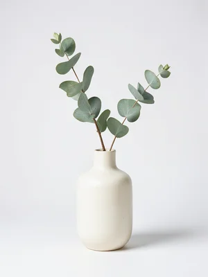 A ceramic vase with a single dried eucalyptus branch, the vase in cream, the bra