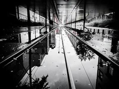 Streetcar tracks with water reflecting