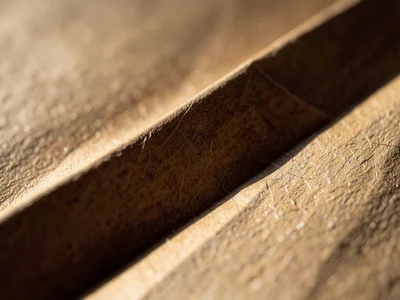 Wet-folded paper surface, dampened fiber slightly expanded and frozen into smoot