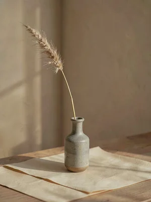 One slender dried grass stem with feathery seed-head rising from small stoneware