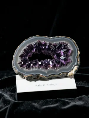 Amethyst Geode Cross-Section Museum Display