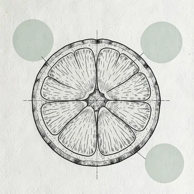 Blueprint anatomy study of a skin cross section, fine ink linework on pale techn