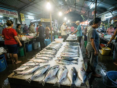 Humid tropical market light in Suva, Fiji, Fresh fish laid out on ice at the Suv