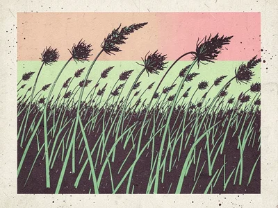 A field of tall grass with seed heads bending in a breeze, flat color field beyo