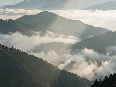Sub-fog phenomena from height