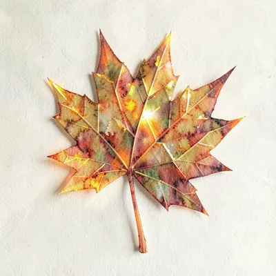 Amber lowpoly maple leaf with sharply faceted lobes and warm orange refractions 