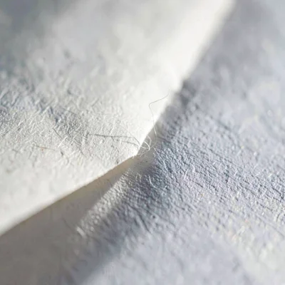 Sidebar paper macro of a single creased fold catching grazing light, fibers visi