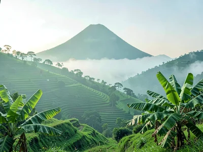 Emerald green hills through morning mist in Kigali, Rwanda, Volcano silhouette t