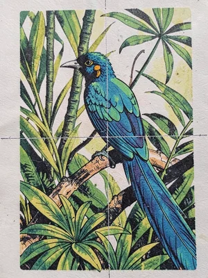 Quetzal bird