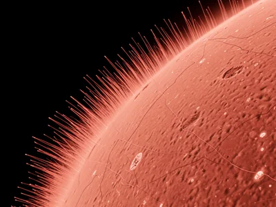 Helios Umbra