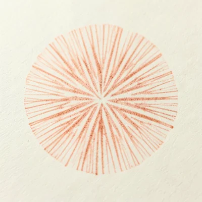 Pink Entoloma spore print, delicate salmon-colored radial deposit, subtle and be