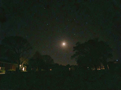 Night film grain
