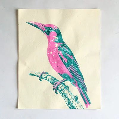 Riso poster of a halftone tropical bird in pink and teal over butter-yellow pape