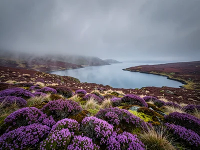 Mist Rolling Across Highland Loch