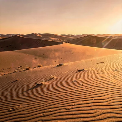 Desert environment photograph, extreme heat conditions, Wind ripples on sand dun