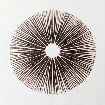 Dark chocolate brown spore print from Agaricus mushroom, dense radial gill lines