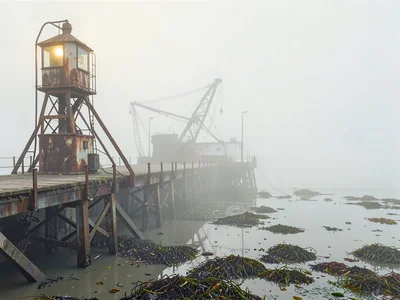 Rusted skeletal harbor light on a pier, foreground tar and seaweed, the harbor i