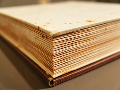 Paperback spine edge, glue adhesive visible between page signatures, bookbinding
