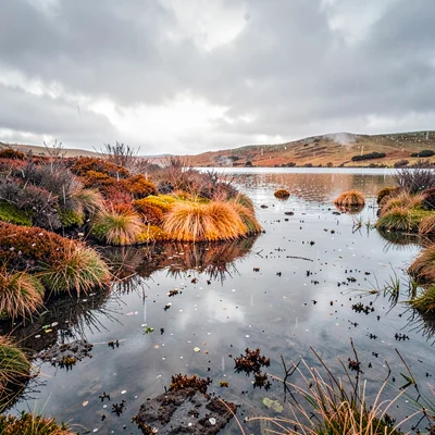 Connemara bog light, Atlantic silver, Bog lake reflecting grey sky, water surfac